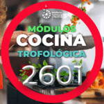 2601 – Módulos de Cocina