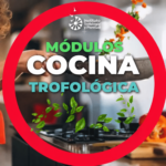 2601C – Módulos de Cocina